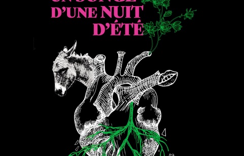 SONGE D'UNE NUIT D'ÉTÉ